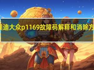 大众p1165故障码 奥迪 大众p1169故障码解释和消除方法 P1169故障码怎么解决