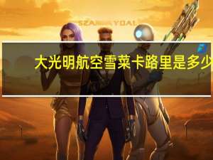 大光明 航空雪菜卡路里是多少