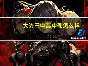 大兴三中高中部怎么样