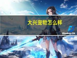 大兴宠物怎么样