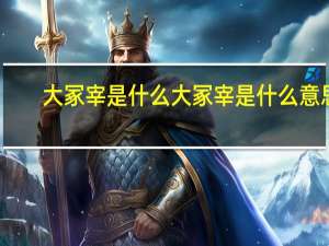 大冢宰是什么 大冢宰是什么意思