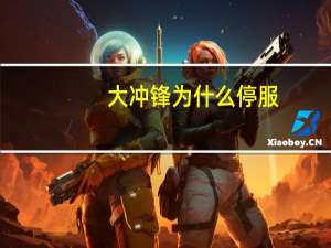 大冲锋为什么停服（大冲锋为什么停服）