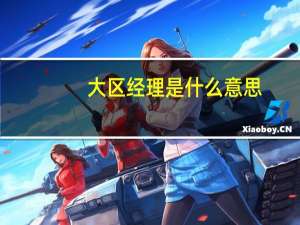 大区经理是什么意思