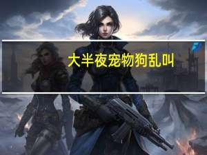 大半夜宠物狗乱叫