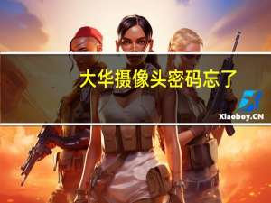 大华摄像头密码忘了