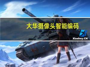 大华摄像头智能编码