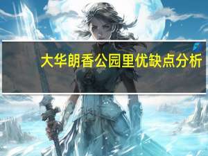大华朗香公园里优缺点分析