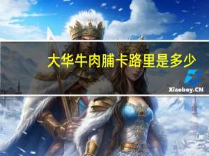 大华 牛肉脯卡路里是多少
