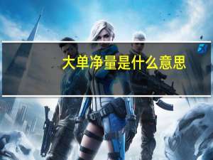 大单净量是什么意思