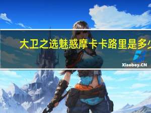 大卫之选 魅惑摩卡卡路里是多少