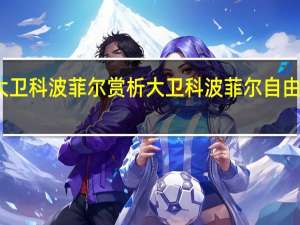 大卫科波菲尔赏析 大卫科波菲尔自由女神像