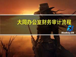 大同办公室财务审计流程