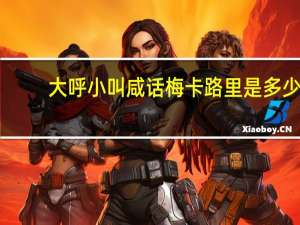 大呼小叫 咸话梅卡路里是多少