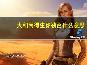 大和尚得生弥勒否什么意思