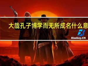 大哉孔子博学而无所成名什么意思