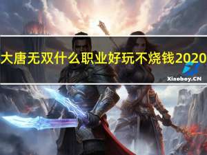 大唐无双什么职业好玩不烧钱2020（大唐无双什么职业好玩）