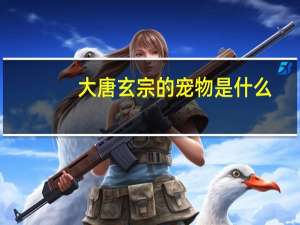 大唐玄宗的宠物是什么