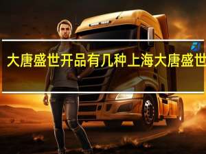 大唐盛世开品有几种 上海大唐盛世花园