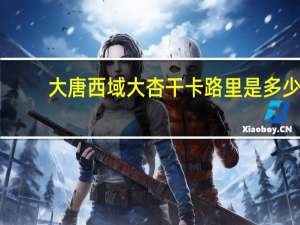 大唐西域 大杏干卡路里是多少