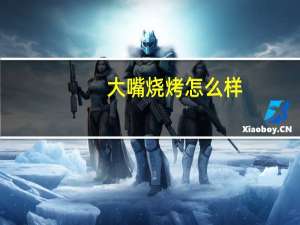 大嘴烧烤怎么样
