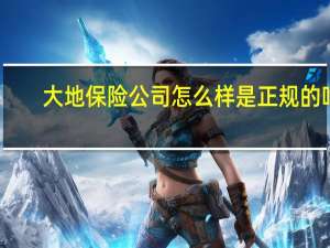 大地保险公司怎么样是正规的吗（大地保险公司怎么样）