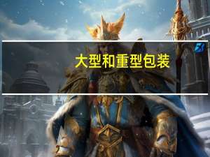 大型和重型包装