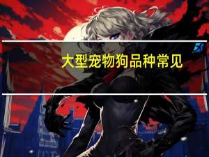 大型宠物狗品种常见