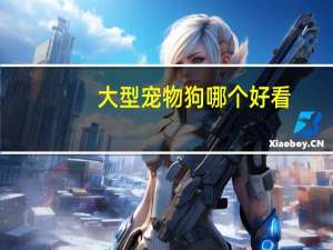 大型宠物狗哪个好看