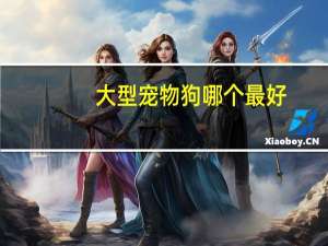 大型宠物狗哪个最好