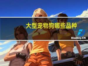 大型宠物狗哪些品种