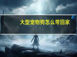 大型宠物狗怎么带回家