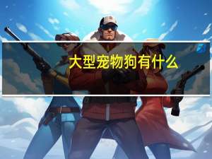 大型宠物狗有什么