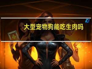 大型宠物狗能吃生肉吗