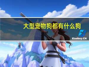 大型宠物狗都有什么狗