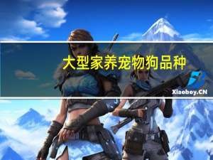 大型家养宠物狗品种