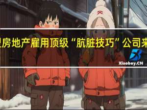 大型房地产雇用顶级“肮脏技巧”公司来涂抹AHF