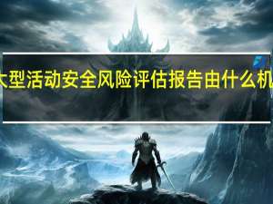 大型活动安全风险评估报告由什么机构出具
