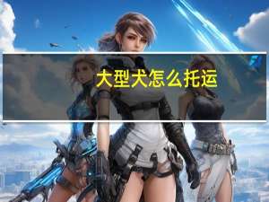 大型犬怎么托运