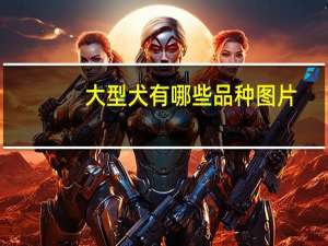 大型犬有哪些品种图片（大型犬品种）