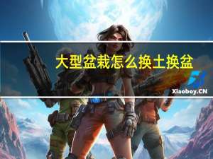 大型盆栽怎么换土换盆