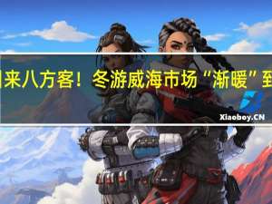 大天鹅引来八方客！冬游威海市场“渐暖” 到底什么情况嘞