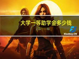 大学一等助学金多少钱