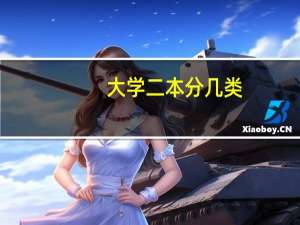 大学二本分几类