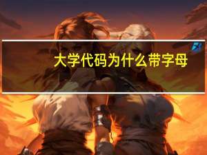 大学代码为什么带字母
