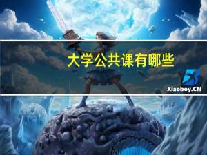 大学公共课有哪些