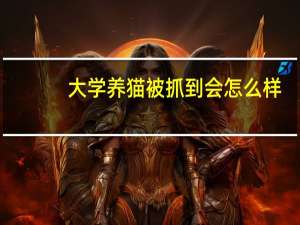 大学养猫被抓到会怎么样