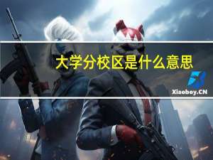 大学分校区是什么意思