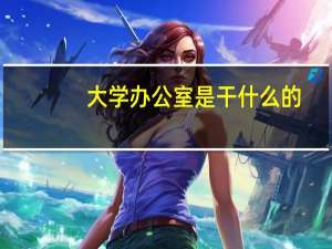 大学办公室是干什么的