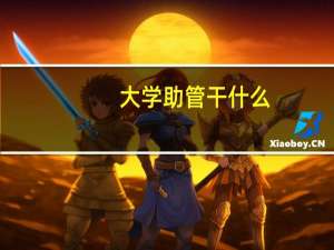 大学助管干什么