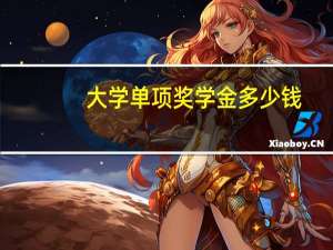 大学单项奖学金多少钱